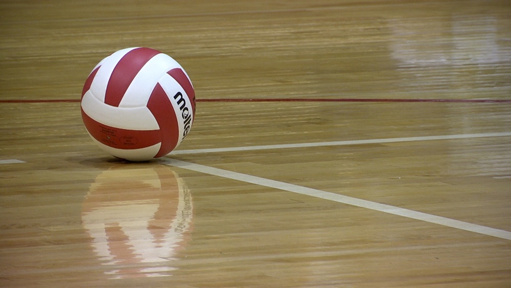 VB